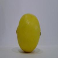 Citrus_Grading project thumbnail