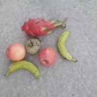 fruits project thumbnail