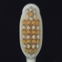 Tooth Brush project thumbnail