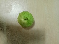 guava project thumbnail