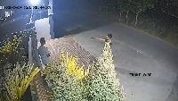 Dataset Image