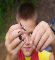 Dataset Image