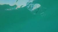 dataset reshiver project thumbnail