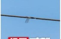 cable project thumbnail
