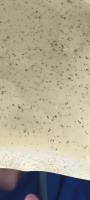  cs008-pestdataset-922 project thumbnail