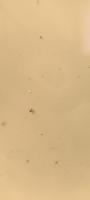 pest-dataset-923 project thumbnail