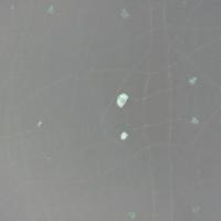 crack_particle_speckle project thumbnail
