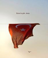 flagproject project thumbnail