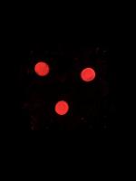 Gel detection-Seg project thumbnail