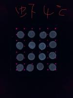 My First Project project thumbnail