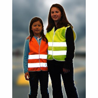 Classify And Conditionally Detect Multi-label Classification project thumbnail