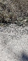 trash_detection project thumbnail
