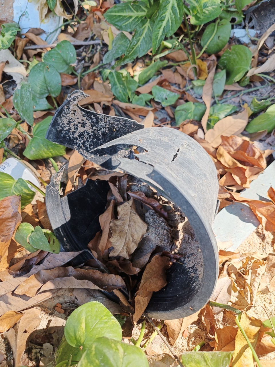 Plastic Materials Object Detection Dataset by Nawinee