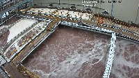 pbn-detection project thumbnail