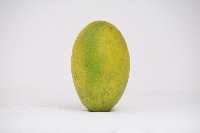 Mango Ripening project thumbnail