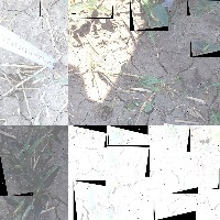 Dataset Image