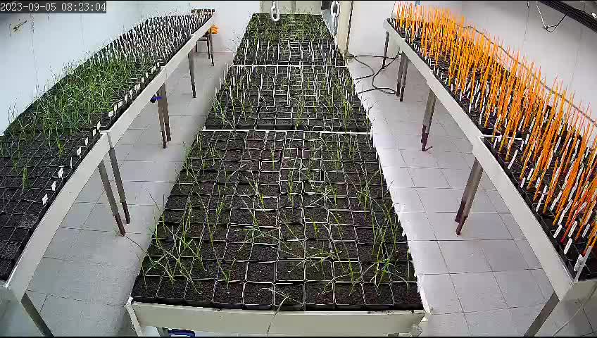 test Object Detection Dataset by Fin University