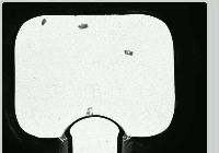 rotifer object tracking project thumbnail