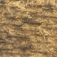 eggs-aedes-egypti-3 project thumbnail