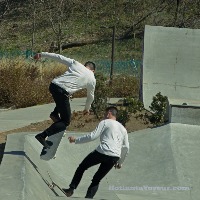 Dataset Image