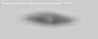Microalgues project thumbnail