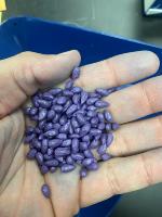 Cotton Seed OD project thumbnail