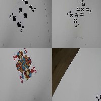 Dataset Image