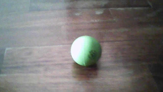 ball Object Detection Model by bot24