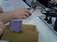 Dataset Image