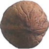 fruit_dataset project thumbnail