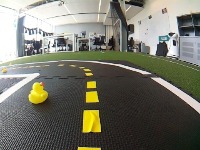 Dataset Image