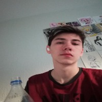 Dataset Image