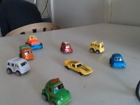 Dataset Image