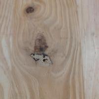 new-defects-in-wood-uewd1-fsod-tffp project thumbnail