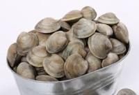 clams project thumbnail