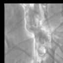 IS Cropped Images project thumbnail