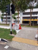 Singapore Pedestrian Crossing project thumbnail