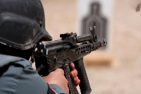 Threat_Detection_Holding_Gun project thumbnail
