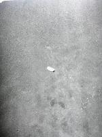 rice-detection project thumbnail