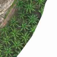 Palm Contour Road project thumbnail