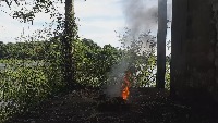 Dataset Image