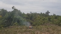 Dataset Image