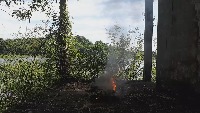 Dataset Image