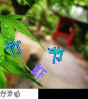 bilibili project thumbnail