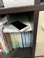 Dataset Image