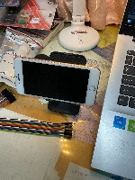 Dataset Image