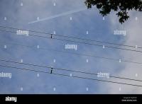UAV Power Line Detection project thumbnail
