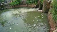 Water-surface-detection project thumbnail