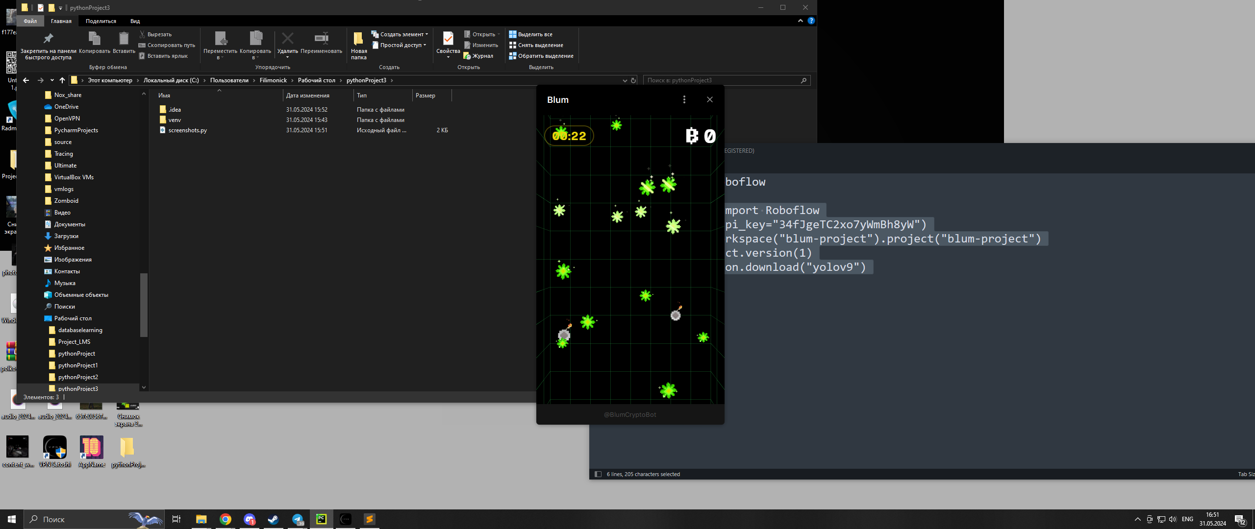 Blum Project Object Detection Dataset by Blum Project