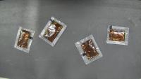 Pick up Packet V2-5/8/26 project thumbnail